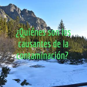 ¿Quiénes son los causantes de la contaminación?