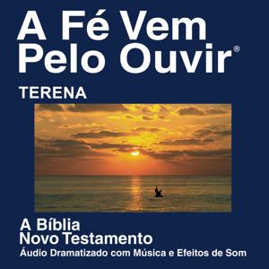 Terena Bíblia - Terena Bible