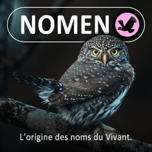 Nomen by Marc Mortelmans