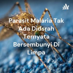 Parasit Malaria Tak Ada Didsrah Ternyata Bersembunyi Di Limpa