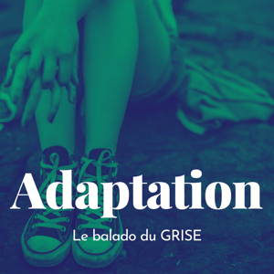 Adaptation