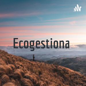 Ecogestiona