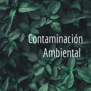 Contaminación Ambiental