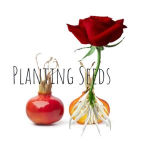 Planting Seeds by Seed Tarot