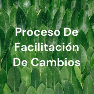 Proceso De Facilitación De Cambios