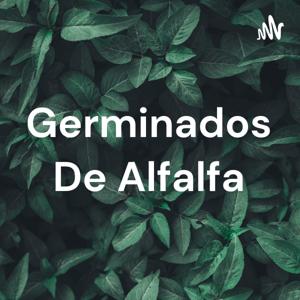 Germinados De Alfalfa