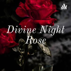 Divine Night Rose