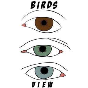 Birds Eye View