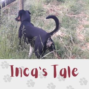 Inca's Tale