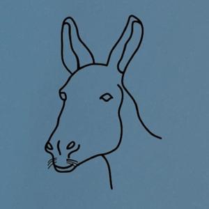 Burro PodCast