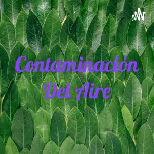 Contaminación Del Aire