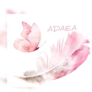 Adaea