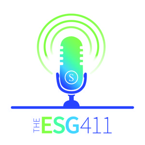 Stroock's The ESG 411