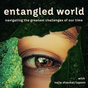 entangled world