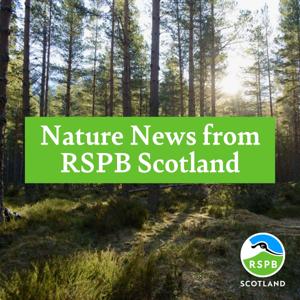 Nature News from RSPB Scotland by RSPB Scotland