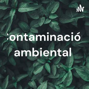 Contaminación ambiental