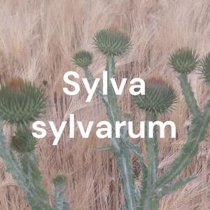 Sylva sylvarum