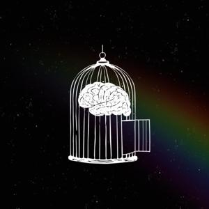 Desengaiolando Podcast