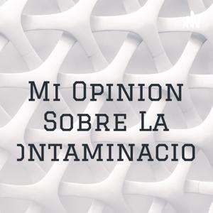 Mi Opinion Sobre La Contaminacion