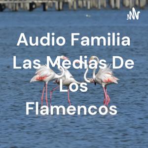 Audio Familia Las Medias De Los Flamencos