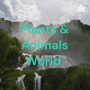 Plants & Animals World