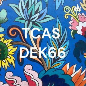 TCAS DEK66