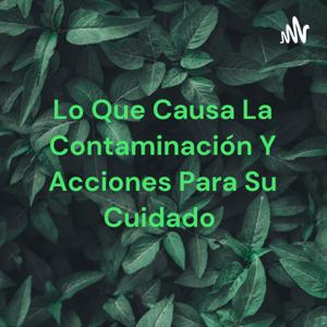 Lo Que Causa La Contaminación Y Acciones Para Su Cuidado