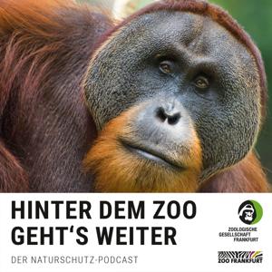 Hinter dem Zoo geht's weiter - Der Naturschutzpodcast aus Frankfurt by Zoologische Gesellschaft Frankfurt & Zoo Frankfurt