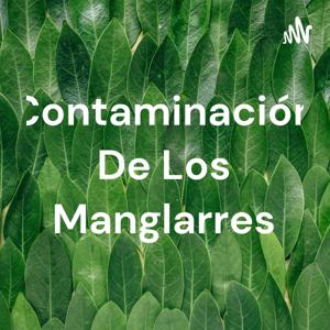 Contaminación De Los Manglarres