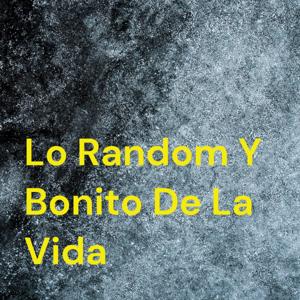 Lo Random Y Bonito De La Vida