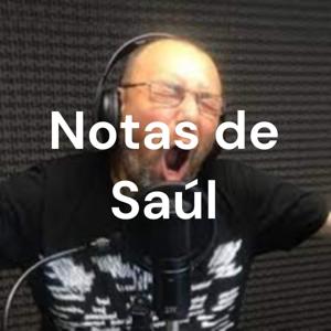 Notas de Saúl