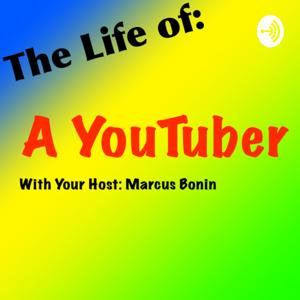 The Life of A YouTuber