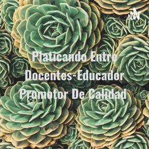 Platicando Entre Docentes-Educador Promotor De Calidad