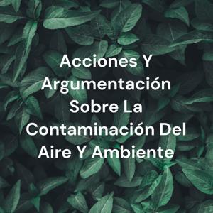 Acciones Y Argumentación Sobre La Contaminación Del Aire Y Ambiente