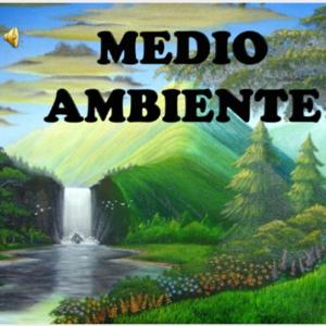 Como Actores Sociales Asumiremos Acciones Para Preservar La Salud Y El Ambiente