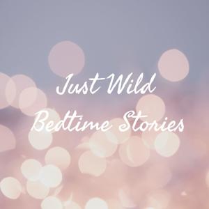 Just Wild Bedtime Stories