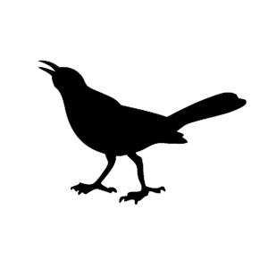 Grackle Art Gallery - GAG Podcast