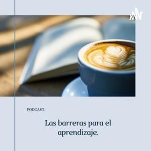 Barreras para el aprendizaje.