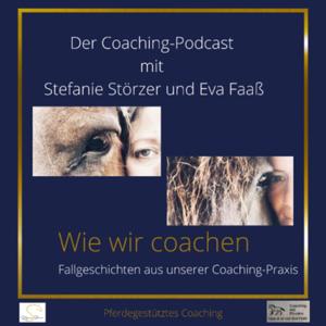 Coaching mit der Hilfe von Pferden