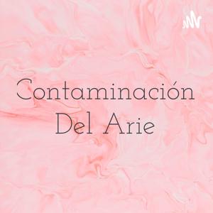 Contaminación Del Arie