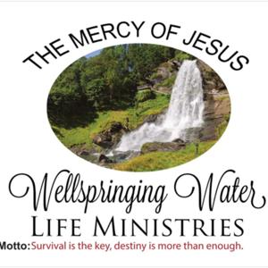 Church Service ⛪️