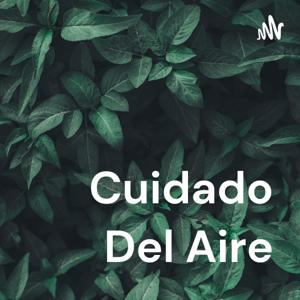 Cuidado Del Aire