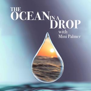 The Ocean in a Drop with Mini Palmer