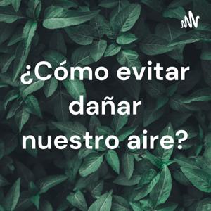 ¿Cómo evitar dañar nuestro aire?