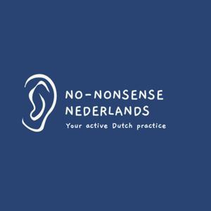 No-nonsense Nederlands - No-nonsense Dutch by Annie