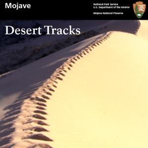Mojave Desert Tracks