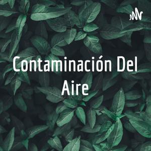 Contaminación Del Aire