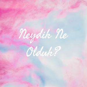 Neydik Ne Olduk?