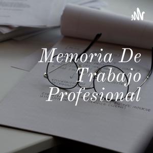 Memoria De Trabajo Profesional