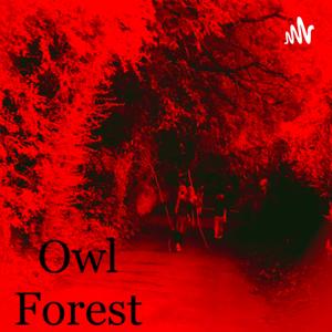Stories From Owl Forest